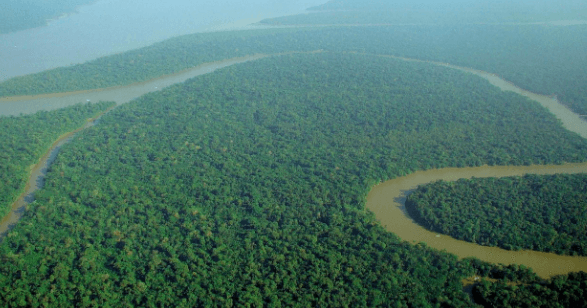 Name the Rainforest That Is So Big That the UK and Ireland Would Fit into It 17 Times