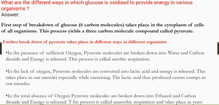 What Are the Different Ways in Which Glucose Is Oxidised to Provide Energy in Various Organisms?