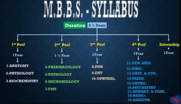 MBBS Subjects Year Wise Syllabus, 1st, 2nd, 3rd & 4th Year